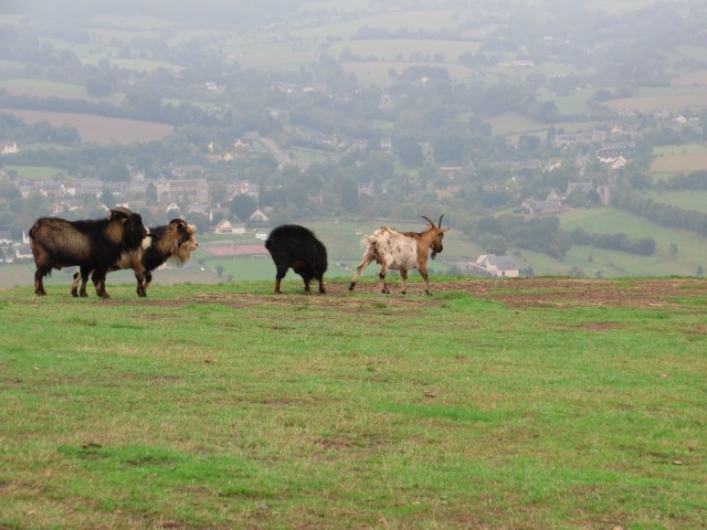 2013 Suisse Normandy Mountains 3
